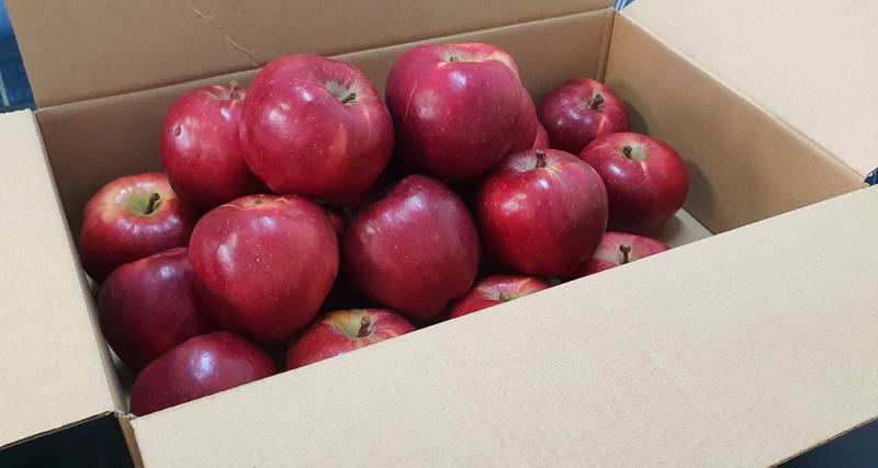 BOX - Mere Roșu delicios - 6 Kg la preț de 5